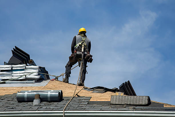 Professional Storm Damage Roof Repair technician working in Randolph, KS